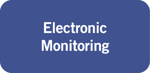 Electronic Monitoring